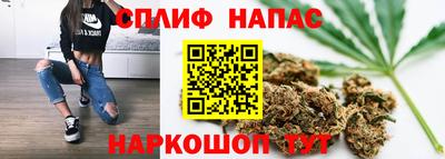 дживик Будённовск