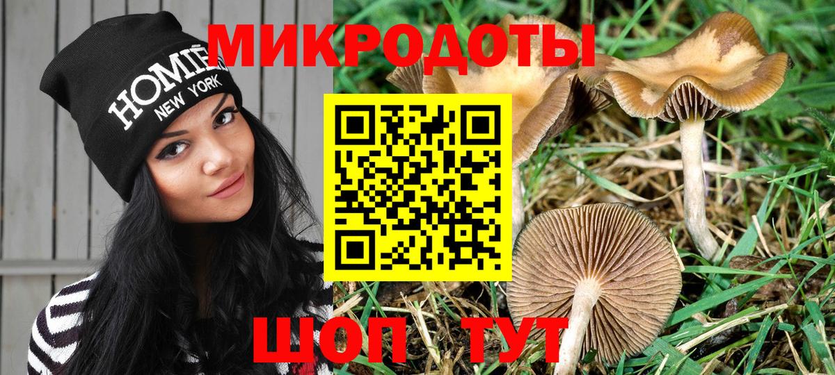 Галлюциногенные грибы Psilocybine cubensis  хочу наркоту  Искитим  Вход с VPN  Псилоцибиновые грибы ЛСД 