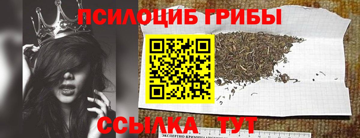 Галлюциногенные грибы Magic Shrooms Искитим